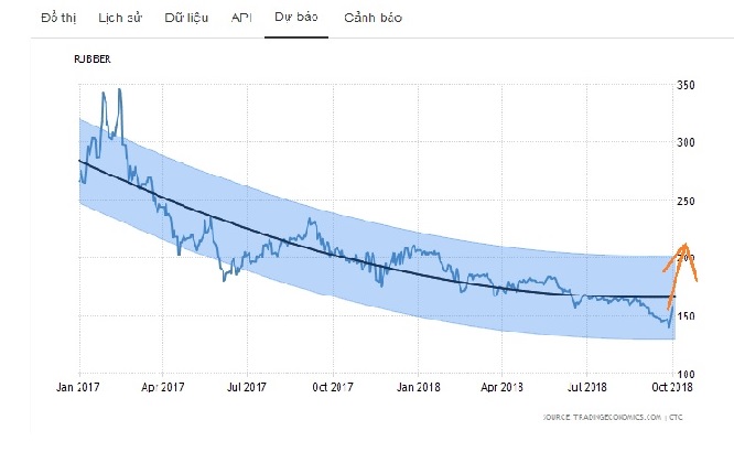 Dự báo giá cao su bắt đầu tăng mạnh mẽ